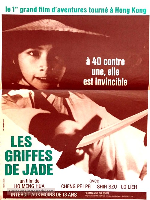 Zhong kui niang zi - French Movie Poster