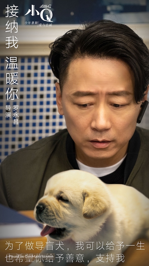 Little Q - Chinese Movie Poster