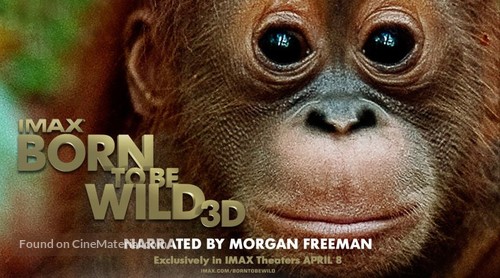 Born to Be Wild - Movie Poster