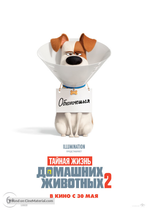 The Secret Life of Pets 2 - Russian Movie Poster