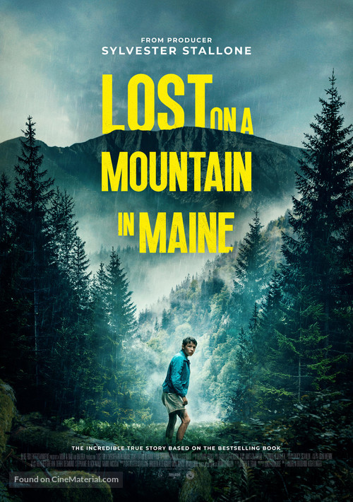 Lost on a Mountain in Maine - Movie Poster