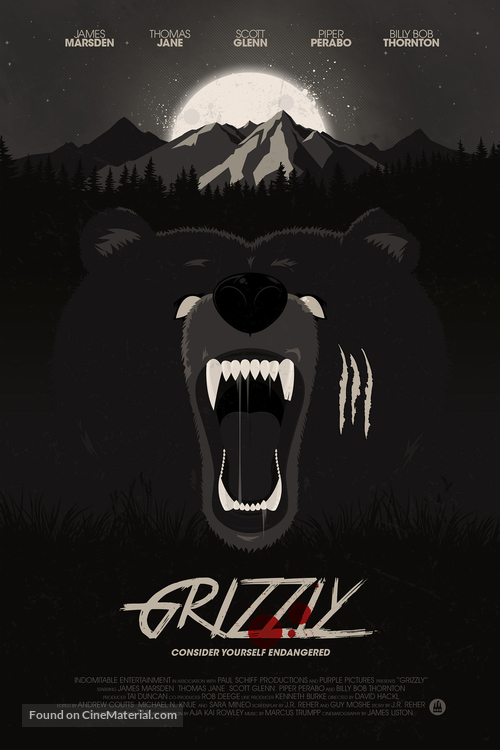 Into the Grizzly Maze - Movie Poster