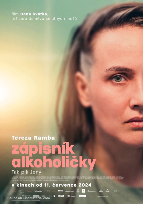 Z&aacute;pisn&iacute;k alkoholicky - Czech Movie Poster