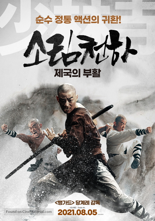 Rising Shaolin: The Protector - South Korean Movie Poster