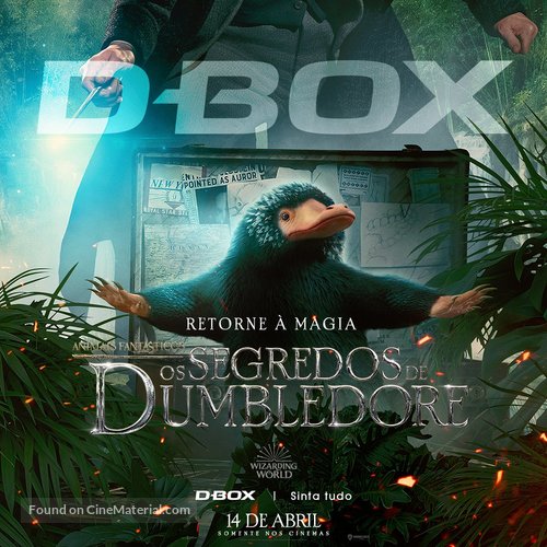 Fantastic Beasts: The Secrets of Dumbledore - Brazilian Movie Poster