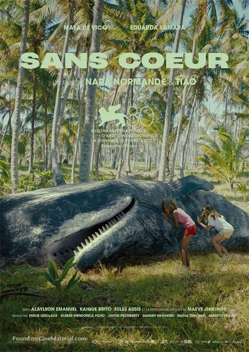 Sem Cora&ccedil;&atilde;o - French Movie Poster