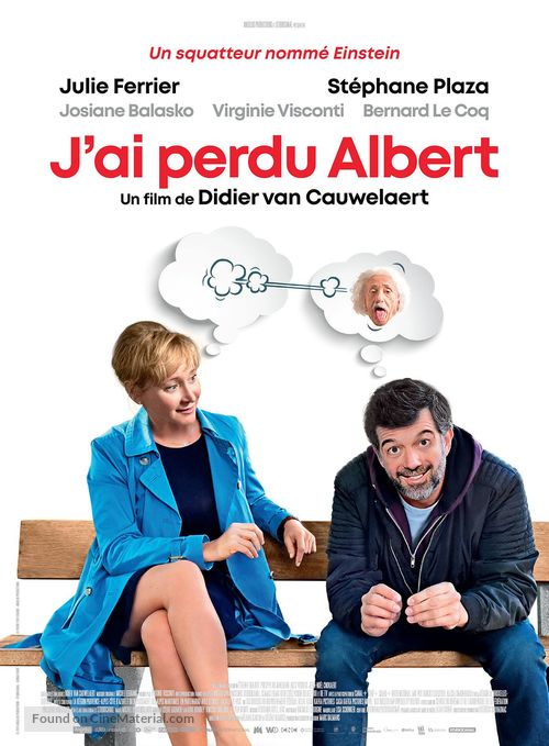 J&#039;ai perdu Albert - French Movie Poster