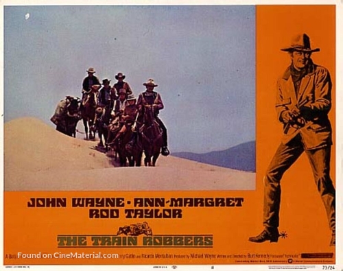 The Train Robbers - poster