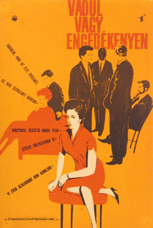 The Wild and the Willing - Hungarian Movie Poster