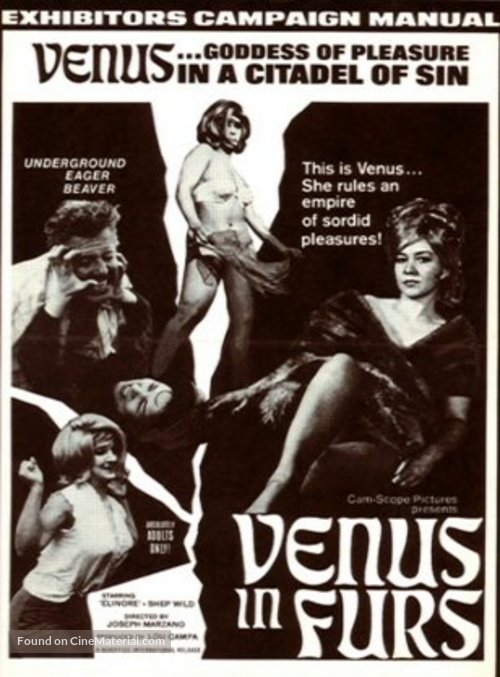 Venus in Furs - poster