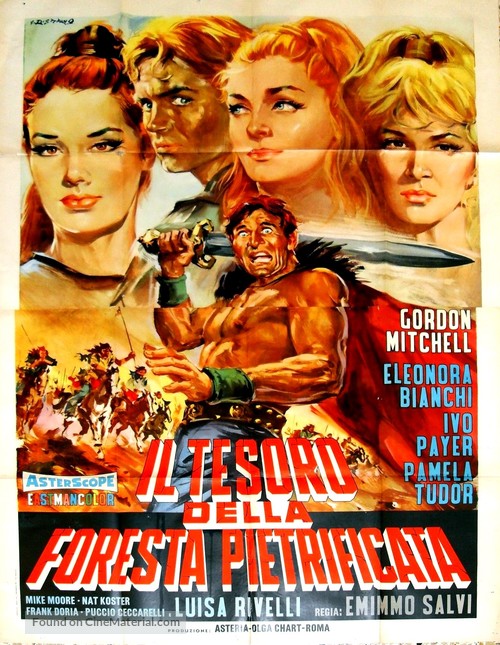 Il tesoro della foresta pietrificata - Italian Movie Poster