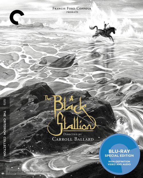 The Black Stallion - Blu-Ray movie cover