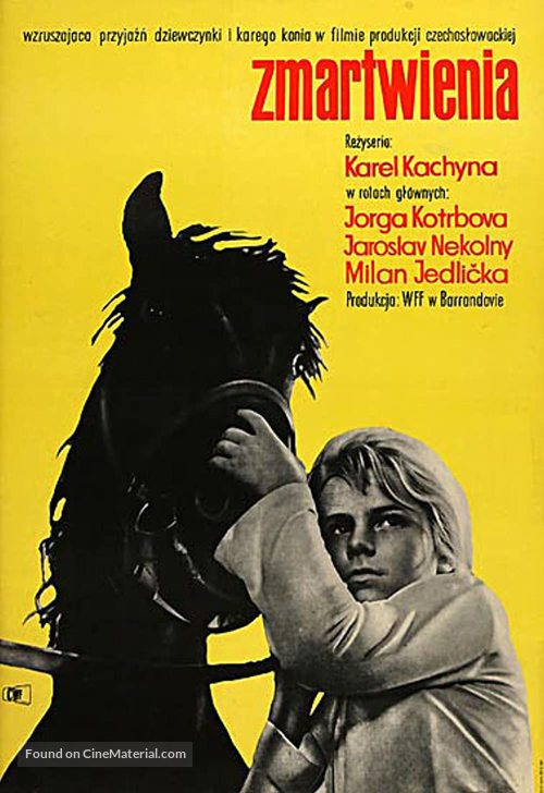 Tr&aacute;pen&iacute; - Polish Movie Poster