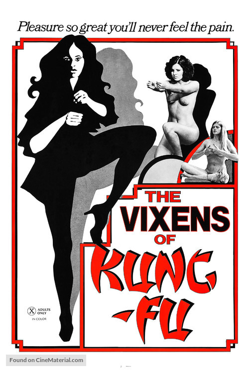 The Vixens of Kung Fu (A Tale of Yin Yang) - Movie Poster
