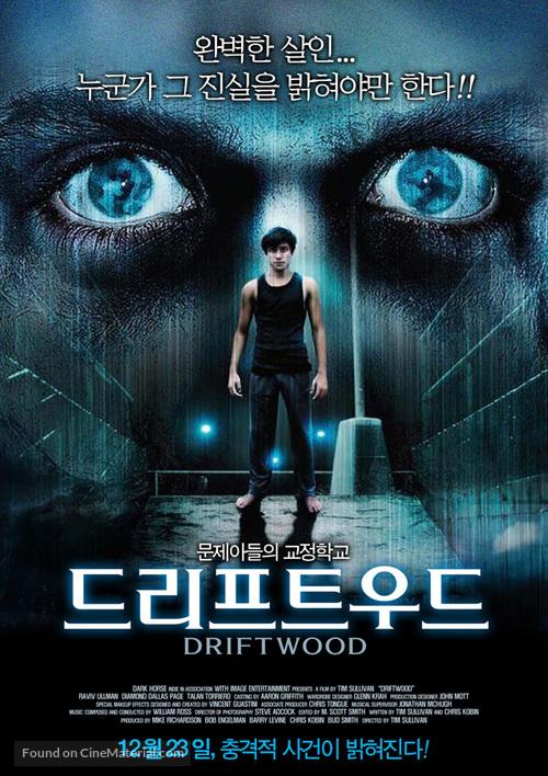 Driftwood - South Korean Movie Poster