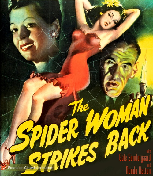 The Spider Woman Strikes Back - Blu-Ray movie cover