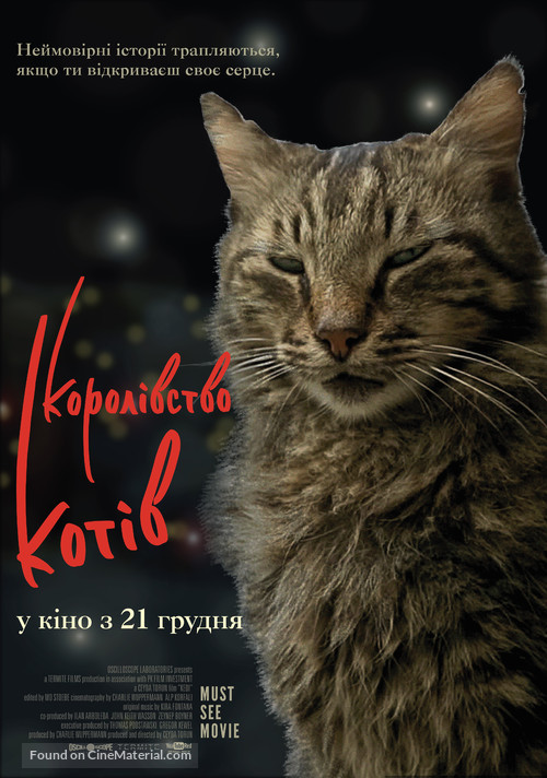 Kedi - Ukrainian Movie Poster