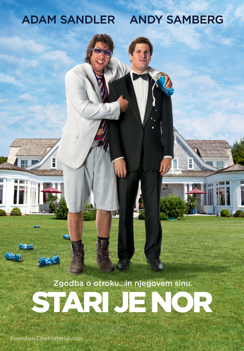 That&#039;s My Boy - Slovenian Movie Poster