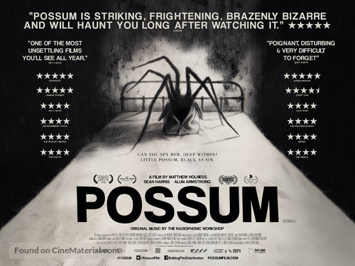 Possum - British Movie Poster