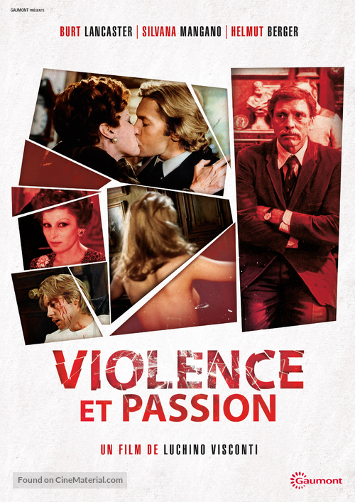 Gruppo di famiglia in un interno - French DVD movie cover