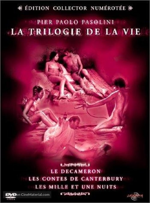 I racconti di Canterbury - French DVD movie cover