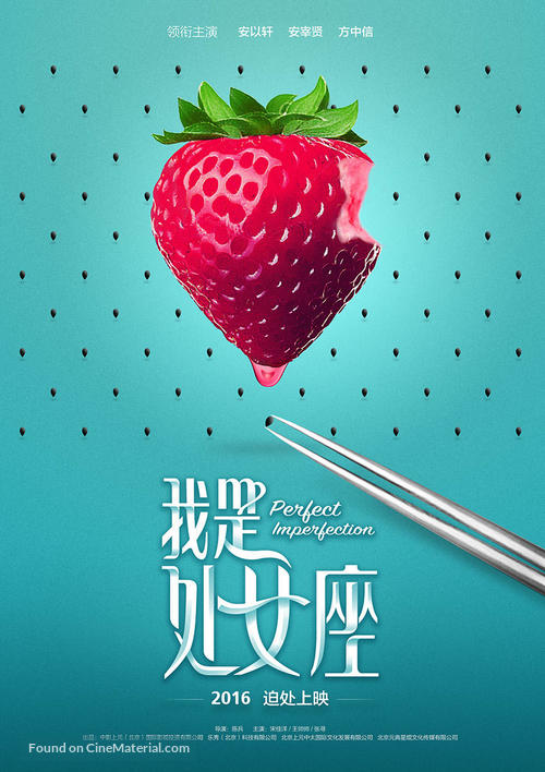 Perfect Imperfection - Chinese Movie Poster