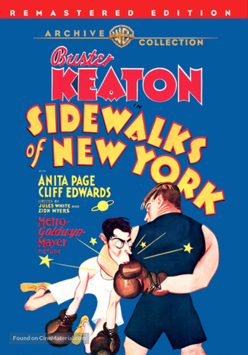 Sidewalks of New York - DVD movie cover