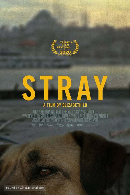 Stray - Movie Poster