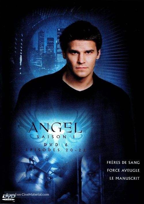 &quot;Angel&quot; - French DVD movie cover