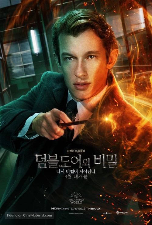 Fantastic Beasts: The Secrets of Dumbledore - South Korean Movie Poster