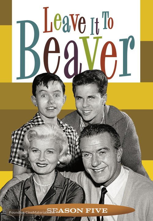 &quot;Leave It to Beaver&quot; - DVD movie cover