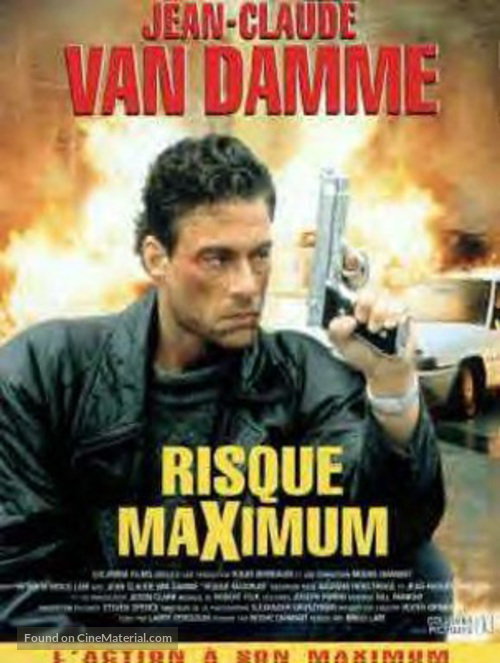 Maximum Risk - French Movie Poster