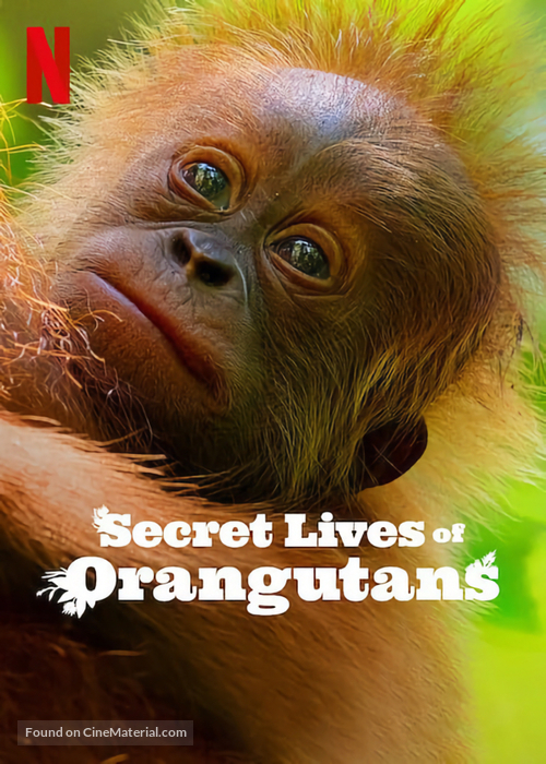 Secret Lives of Orangutans - British Movie Poster