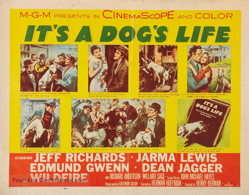 It&#039;s a Dog&#039;s Life - Movie Poster