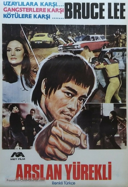 &quot;The Green Hornet&quot; - Turkish Movie Poster