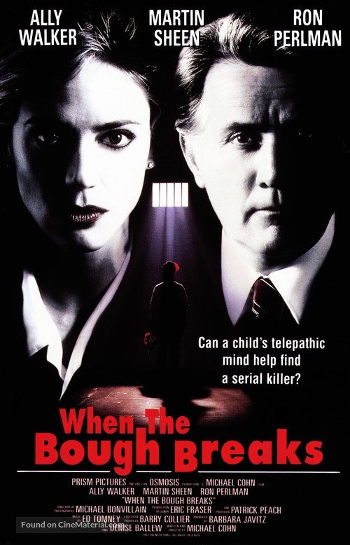 When the Bough Breaks - VHS movie cover