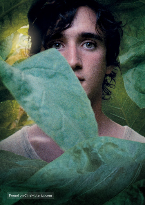 Lazzaro felice - Key art