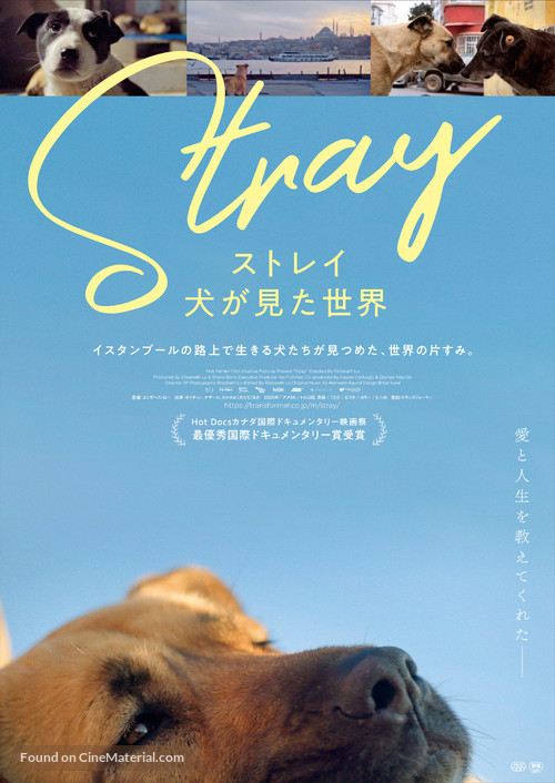 Stray - Japanese Movie Poster