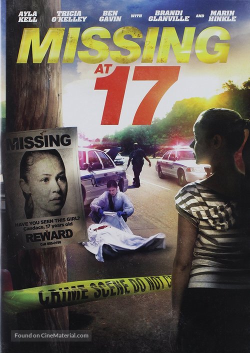 Missing at 17 - Movie Cover