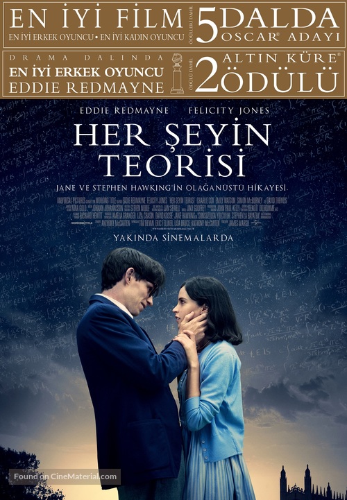 The Theory of Everything - Turkish Movie Poster