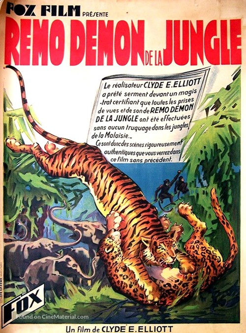 The Devil Tiger - French Movie Poster