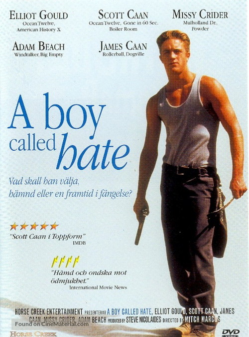 A Boy Called Hate - Swedish Movie Cover