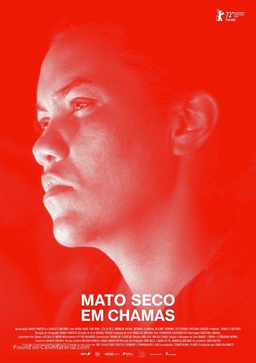 Mato seco em chamas - Brazilian Movie Poster