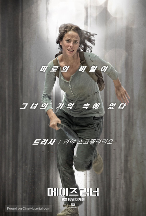 The Maze Runner - South Korean Movie Poster