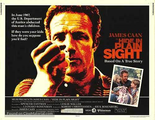 Hide in Plain Sight - Movie Poster