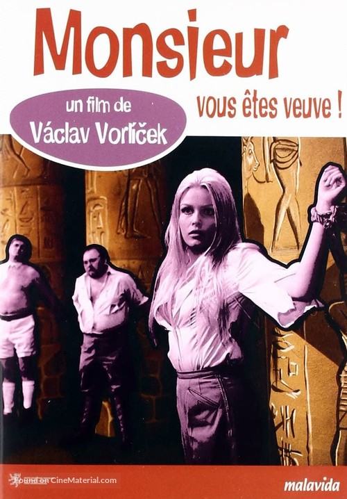 Pane, vy jste vdova! - French DVD movie cover