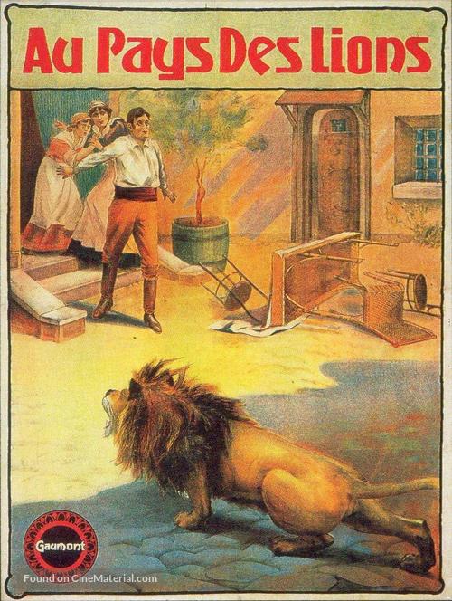 Au pays des lions - French Movie Poster