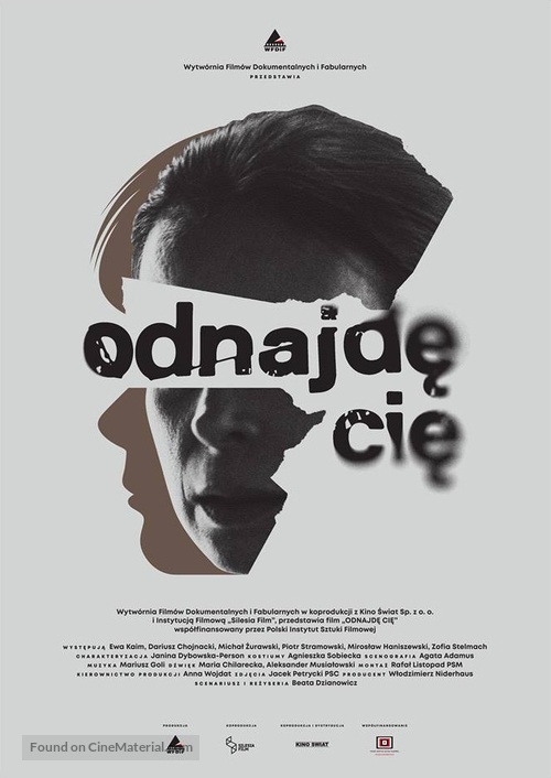 Odnajde cie - Polish Movie Poster