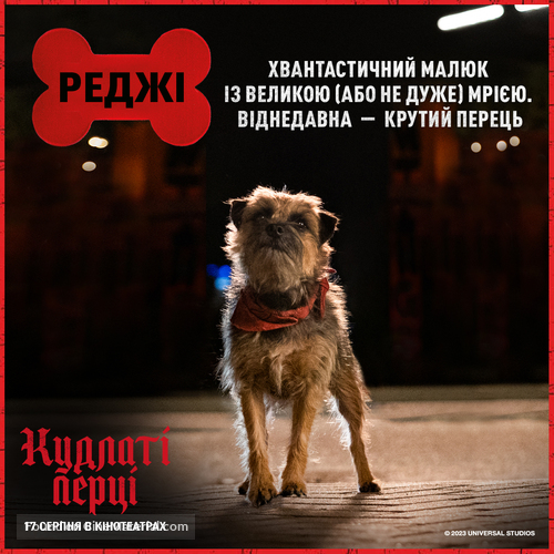 Strays - Ukrainian Movie Poster