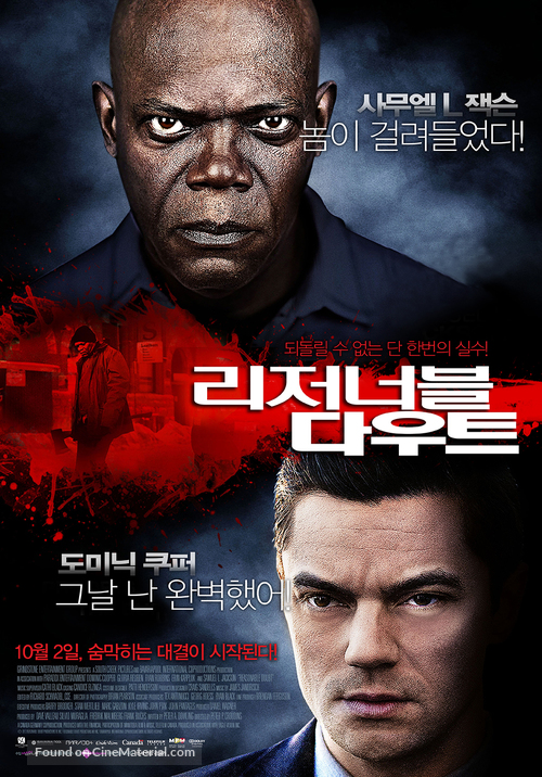 Reasonable Doubt - South Korean Movie Poster